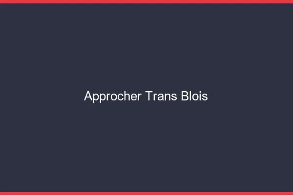 Approcher trans Blois