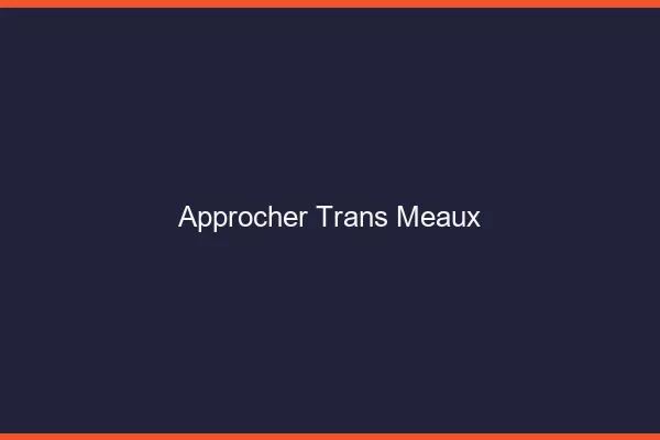 Approcher trans Meaux