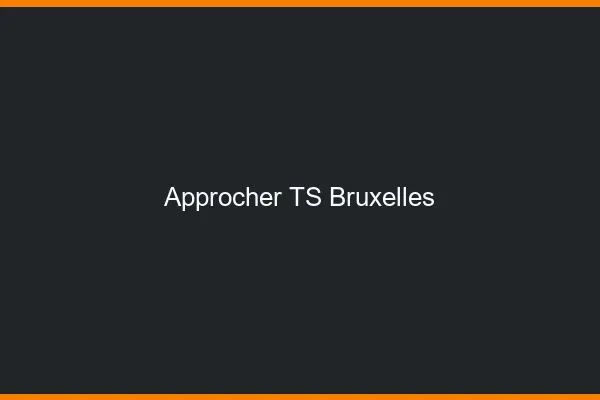 Approcher TS Bruxelles