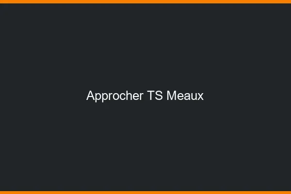 Approcher TS Meaux