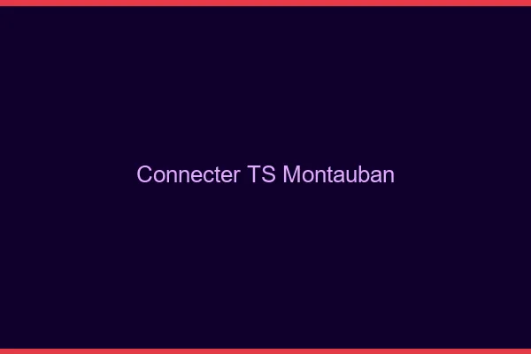 Connecter TS Montauban