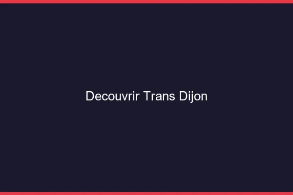 Découvrir trans Dijon