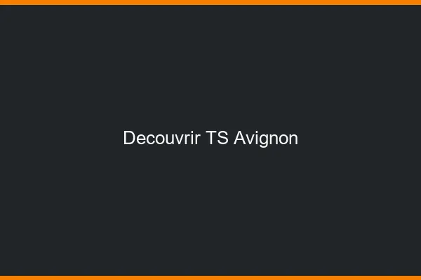 Découvrir TS Avignon