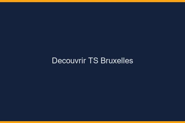 Découvrir TS Bruxelles