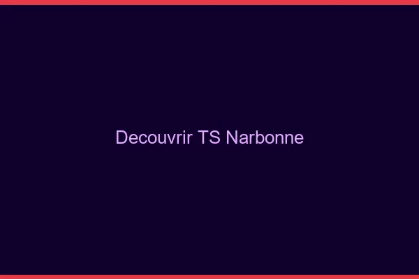 Découvrir TS Narbonne