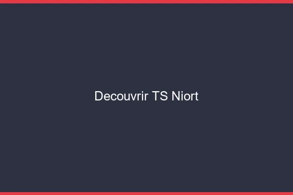 Découvrir TS Niort