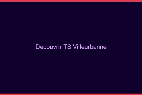 Découvrir TS Villeurbanne