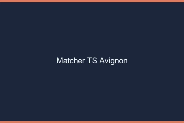 Matcher TS Avignon