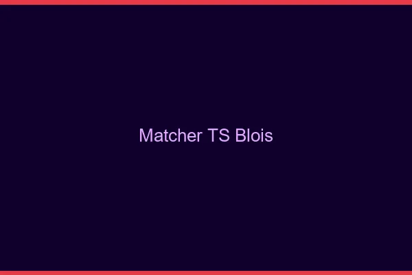 Matcher TS Blois
