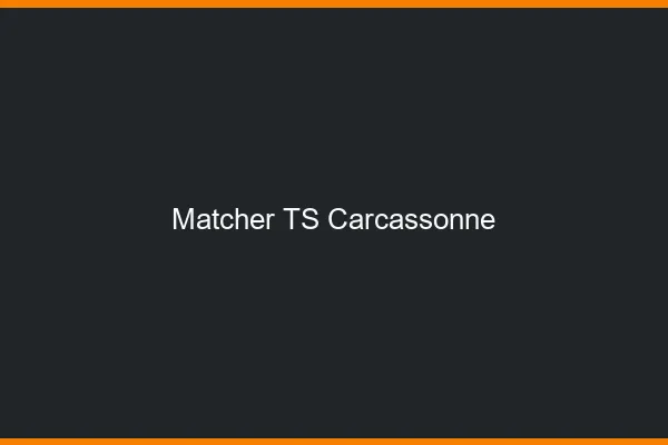 Matcher TS Carcassonne