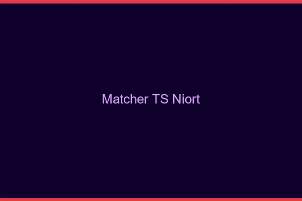 Matcher TS Niort