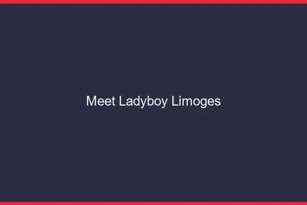 Meet ladyboy Limoges