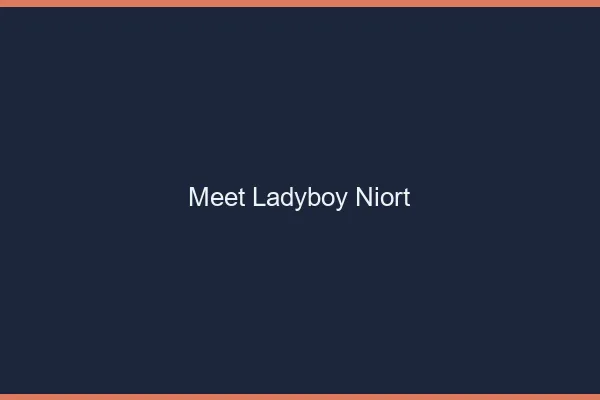 Meet ladyboy Niort