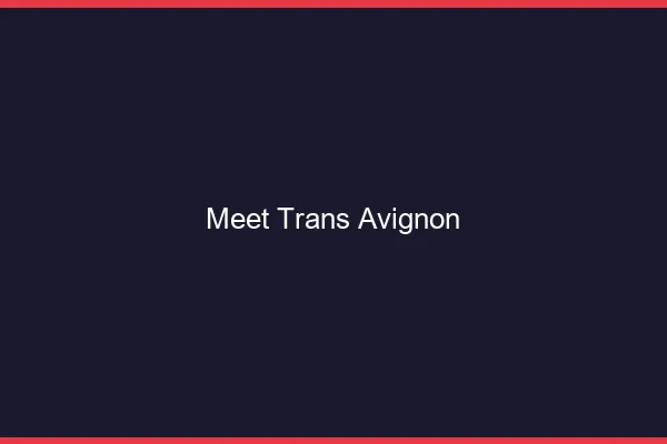 Meet trans Avignon