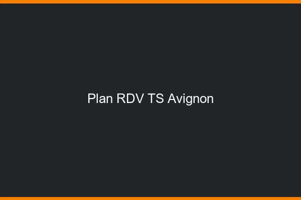 Plan RDV TS Avignon