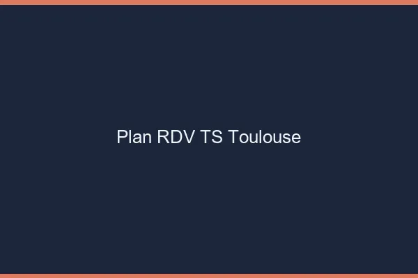 Plan RDV TS Toulouse