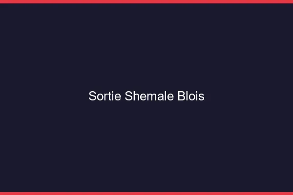 Sortie shemale Blois