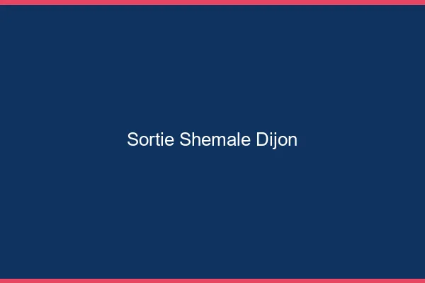 Sortie shemale Dijon
