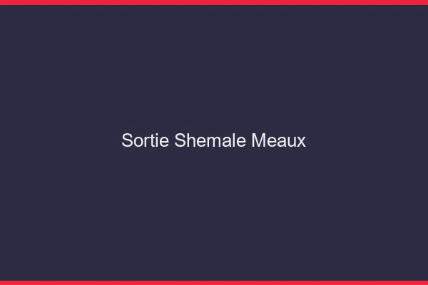 Sortie shemale Meaux