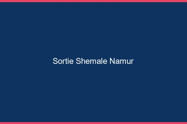 Sortie shemale Namur