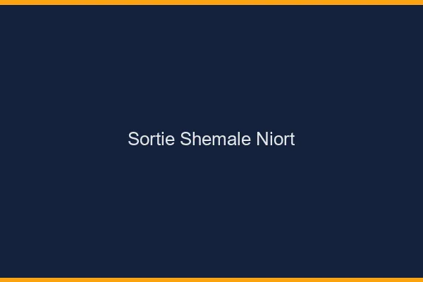 Sortie shemale Niort