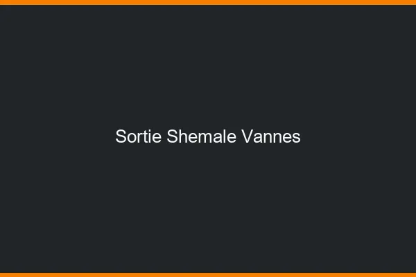 Sortie shemale Vannes