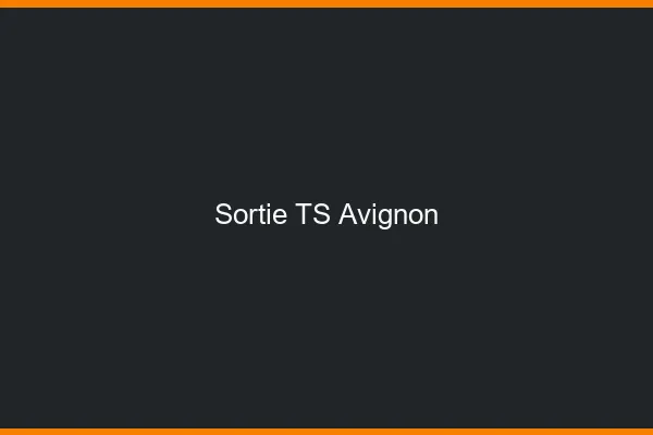 Sortie TS Avignon