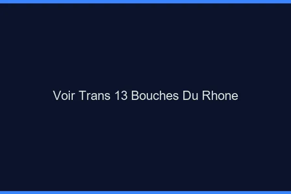 Voir trans 13 bouches-du-rhône