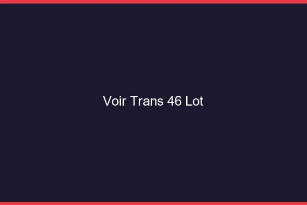 Voir trans 46 lot