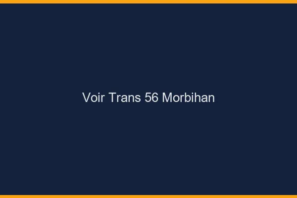 Voir trans 56 morbihan