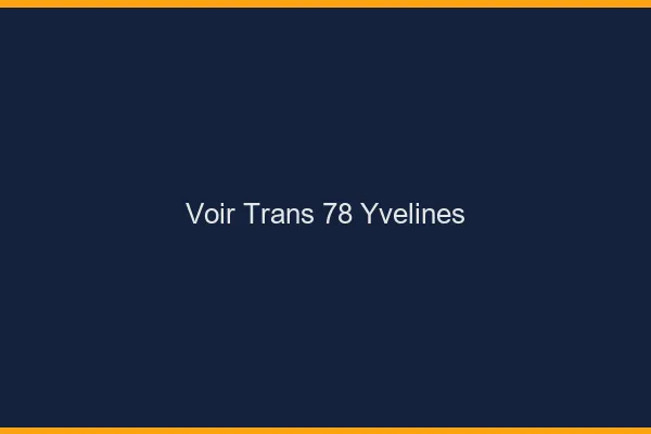 Voir trans 78 yvelines