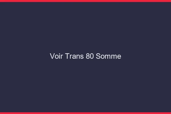 Voir trans 80 somme