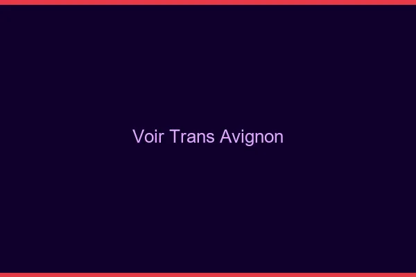 Voir trans Avignon