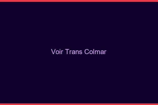 Voir trans Colmar