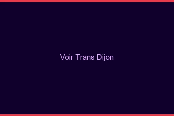 Voir trans Dijon