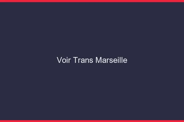 Voir trans Marseille