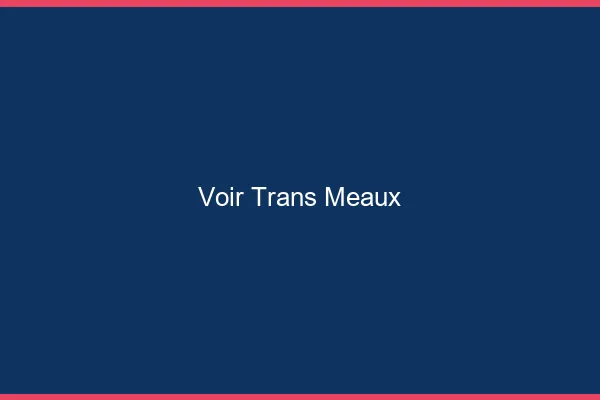 Voir trans Meaux