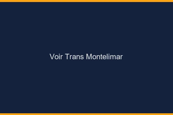 Voir trans Montélimar