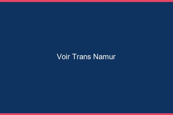 Voir trans Namur