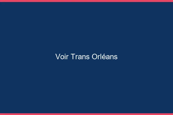 Voir trans Orléans