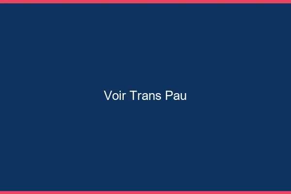 Voir trans Pau