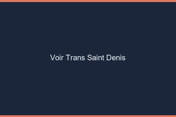 Voir trans Saint-Denis