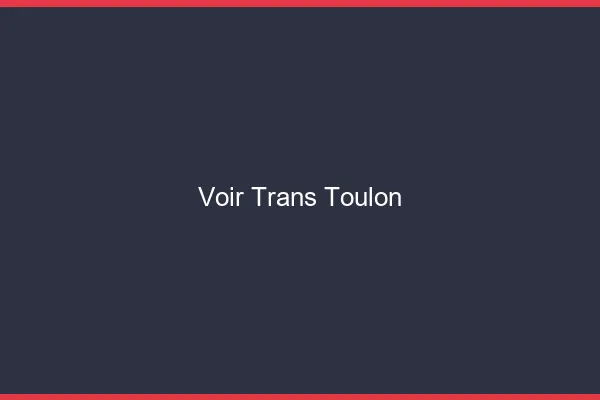 Voir trans Toulon