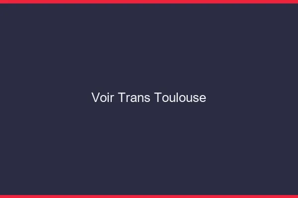 Voir trans Toulouse