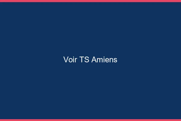 Voir TS Amiens