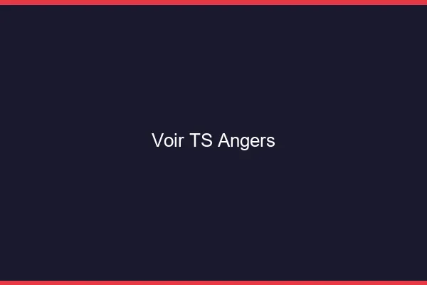 Voir TS Angers