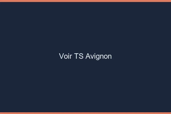 Voir TS Avignon