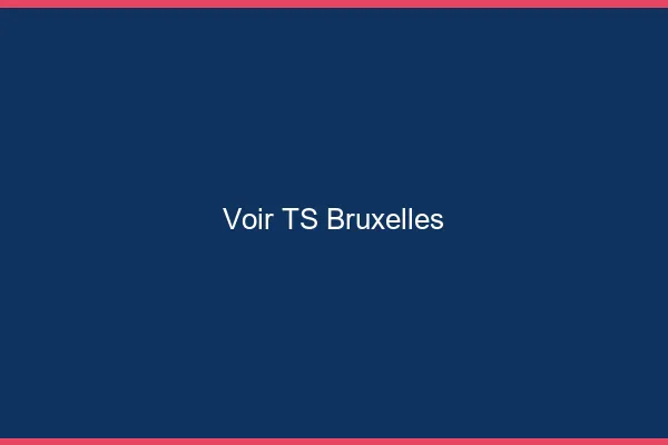Voir TS Bruxelles