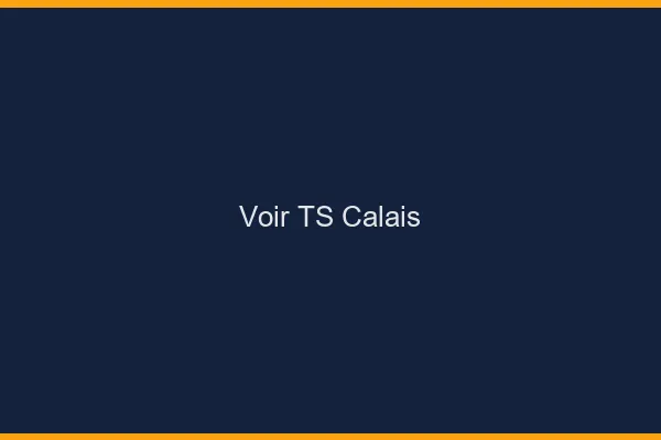 Voir TS Calais
