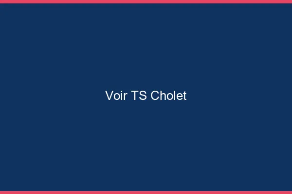 Voir TS Cholet